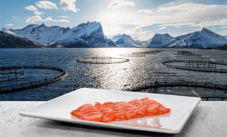 اقتصاد نروژ؛ ترکیبی از نفت و صادرات دریایی